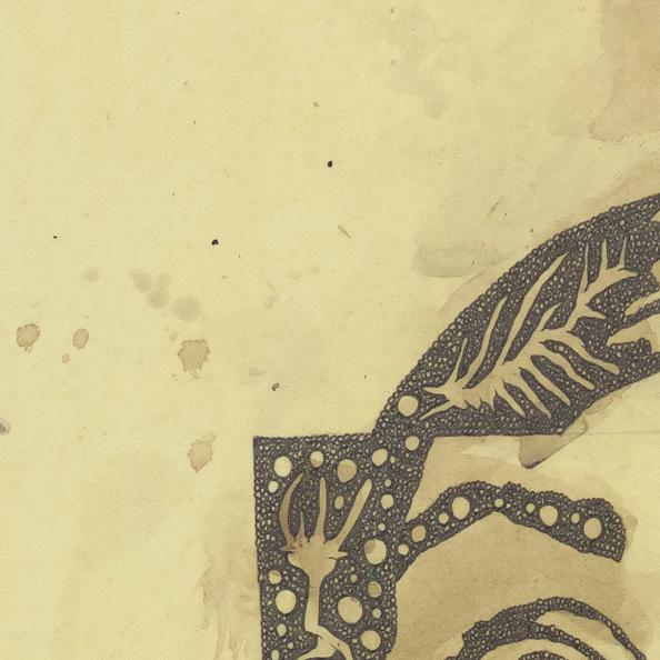 Detail of Onawa \ The Tribe — upper left